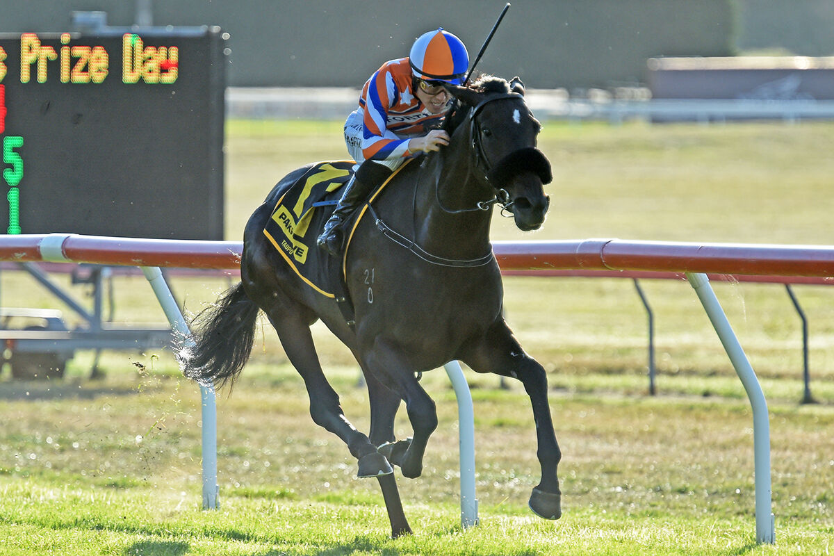3 Win Wednesday - NZ Season Win 90