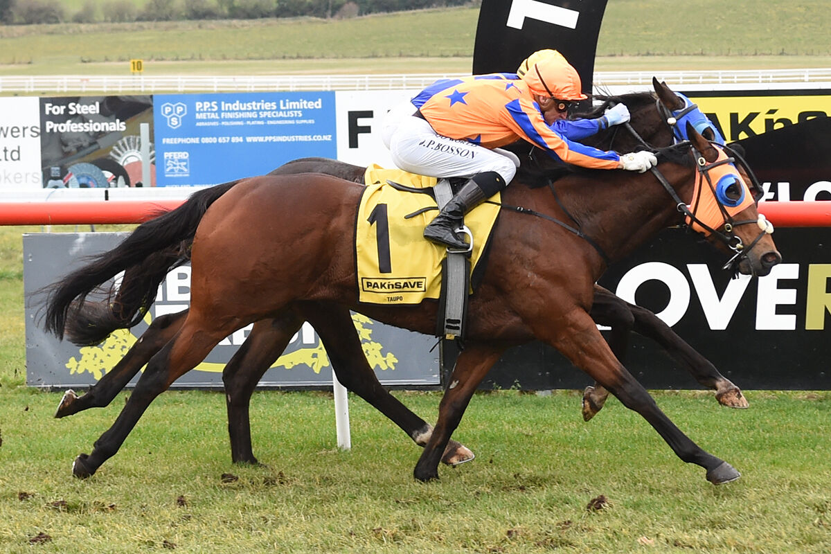 Te Akau Taupo Treble - To Bravery Born - Brave Indeed