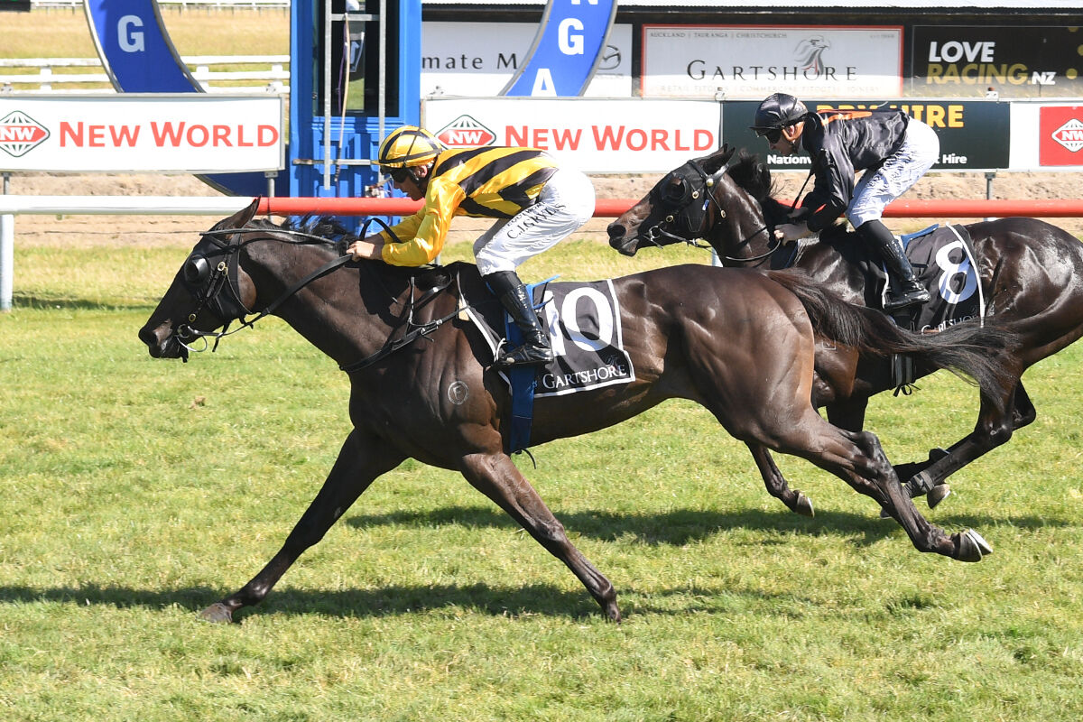 Te Akau Trans-Tasman Friday Preview