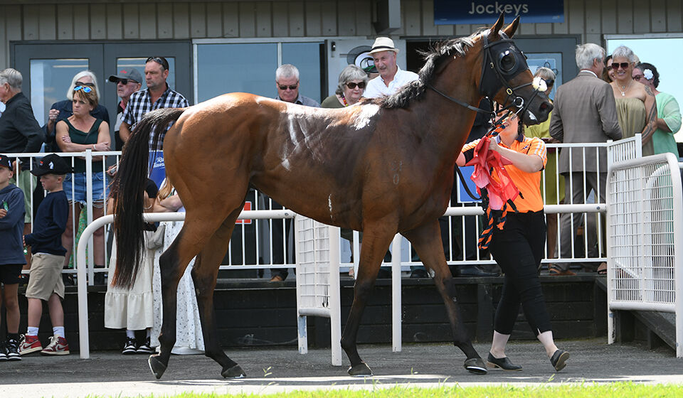4 Win Saturday - Valentine Veracious