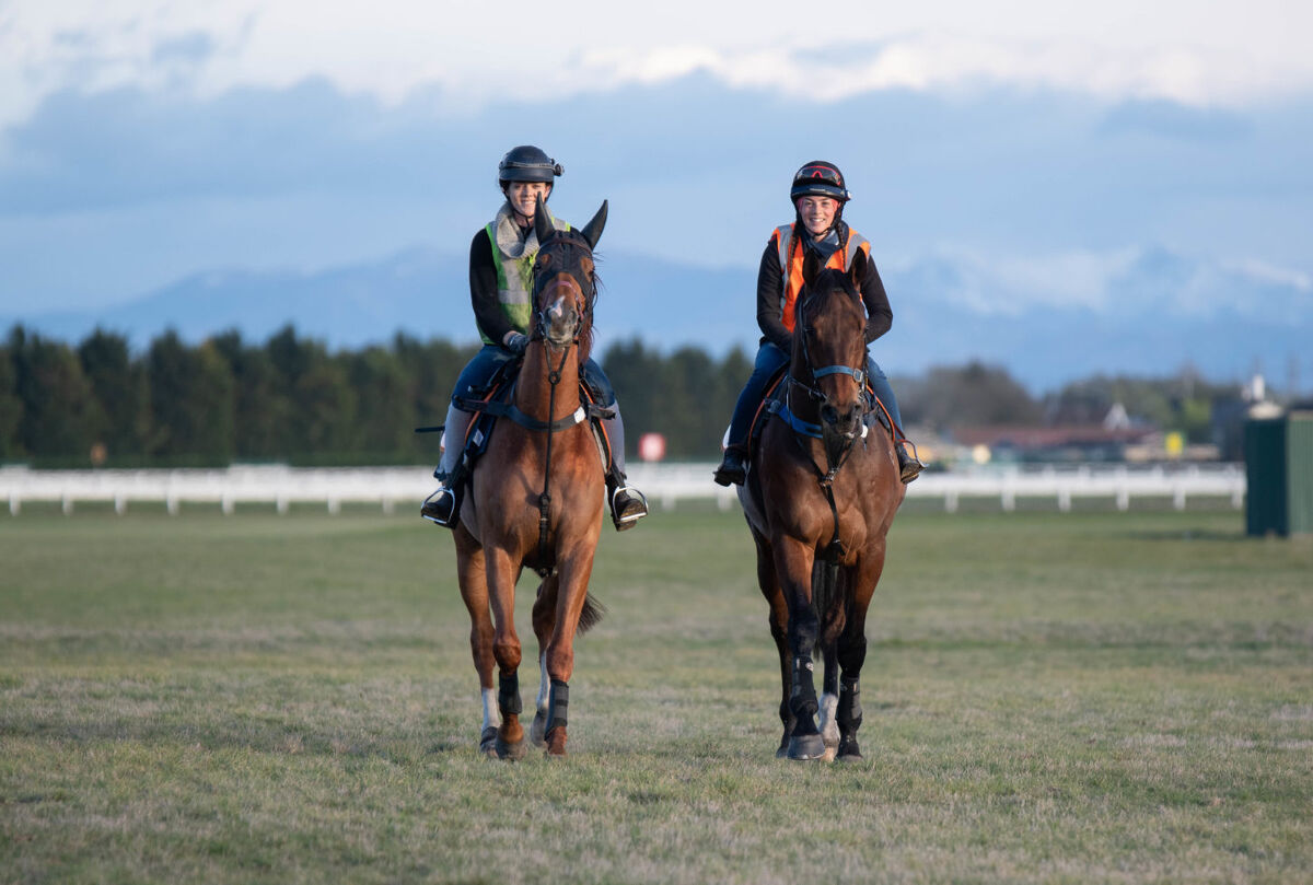 Te Akau Weekend Trackwork
