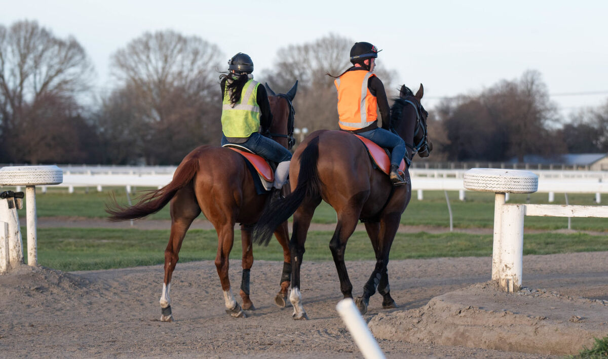 Te Akau Thursday Trackwork