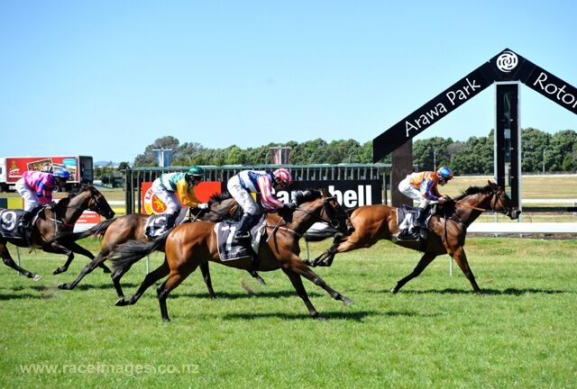 Te Akau Rotorua Tuesday Preview