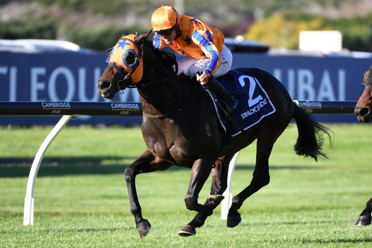 Winner: King's English Reigns