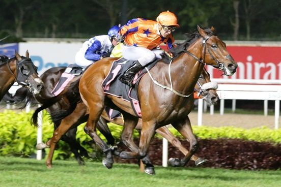 Rutten Singapore Bound to Support Kingsman