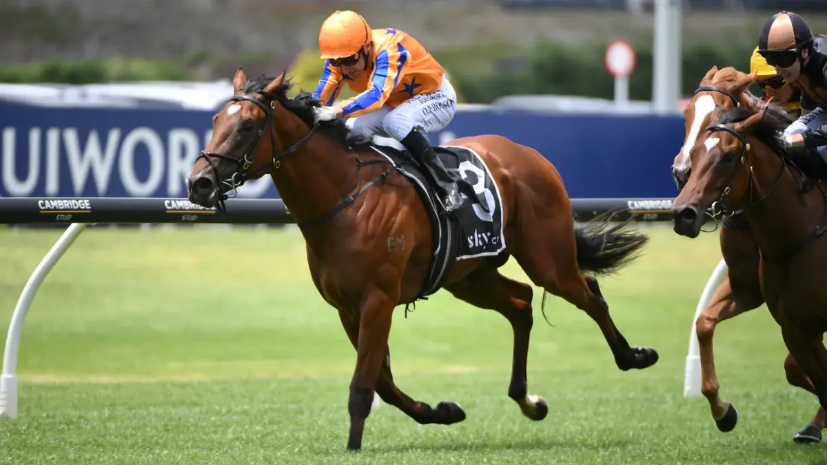 Kinnaird Karaka Millions' Bound