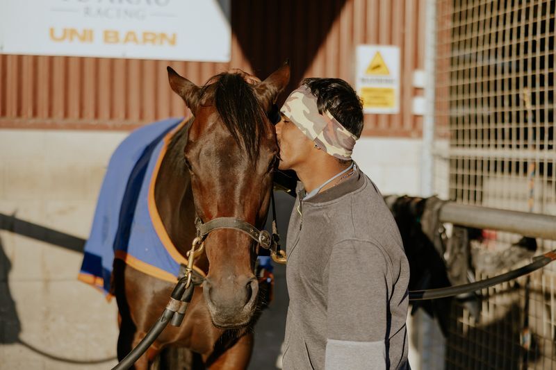 Te Akau Trans Tasman Tuesday Trackwork