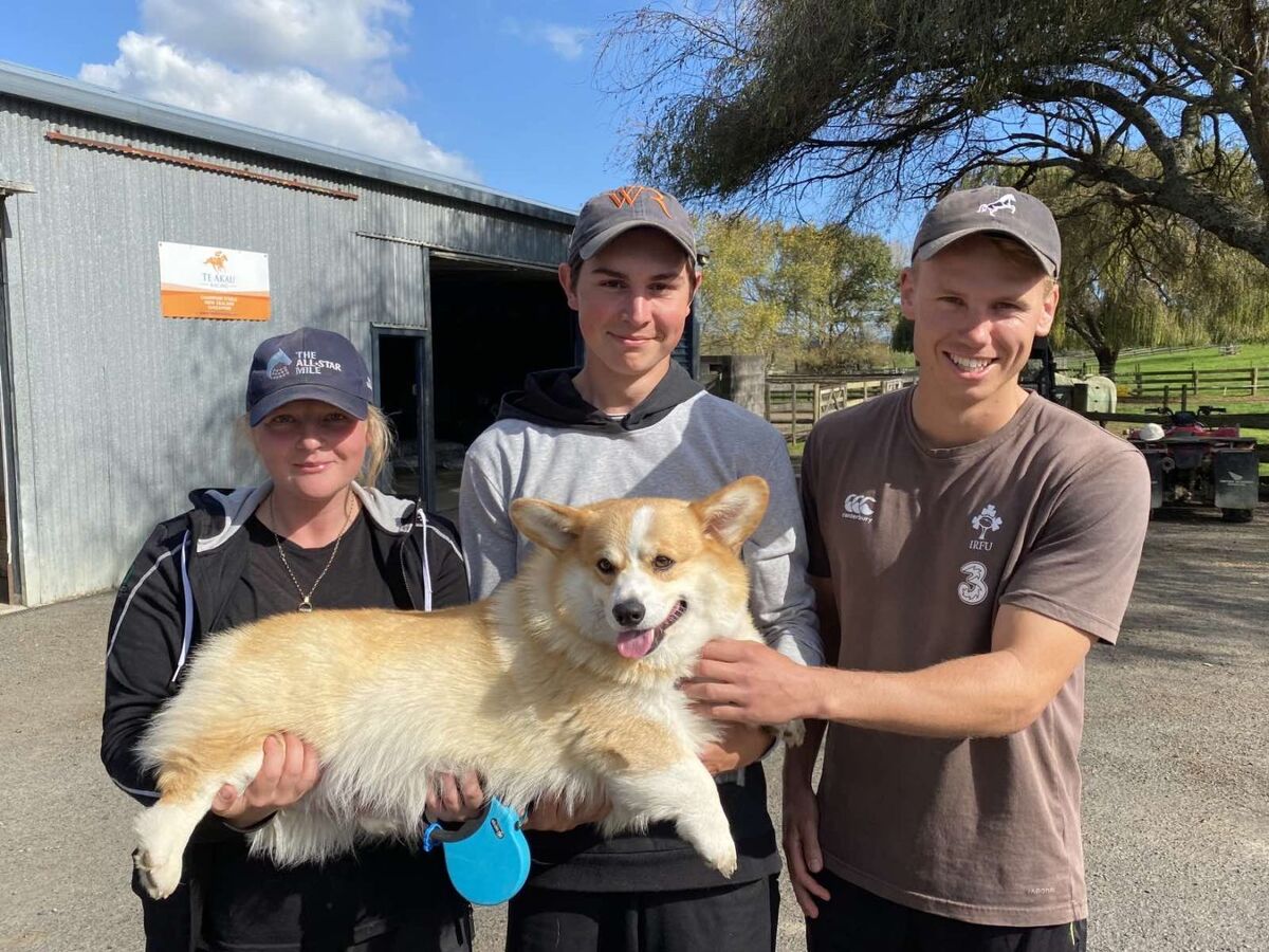 A Talented Te Akau Trio