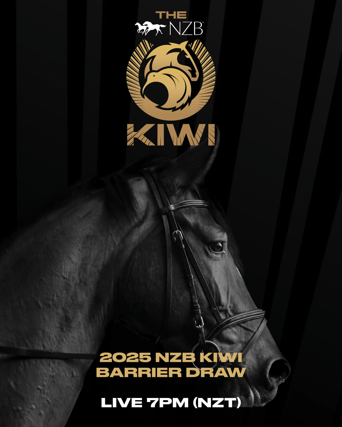 NZB Kiwi Live Barrier Draw Tonight