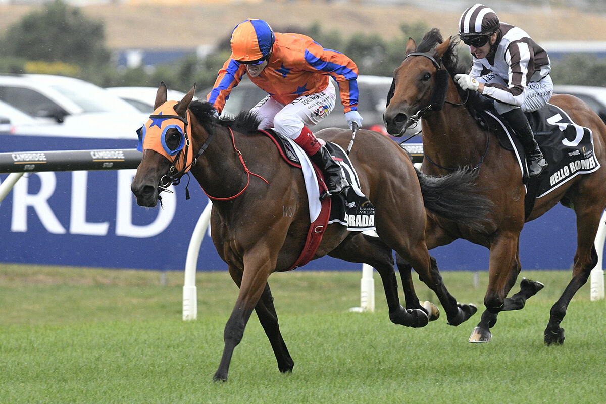 Te Akau's 8th Karaka 2YO Millions' Victory