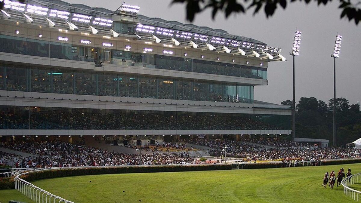 Te Akau Singapore Saturday Preview