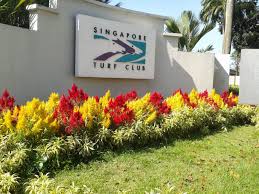 Te Akau Singapore Sunday Preview