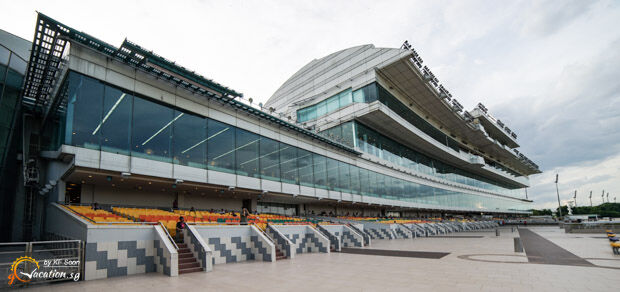 Te Akau Singapore Sunday Preview