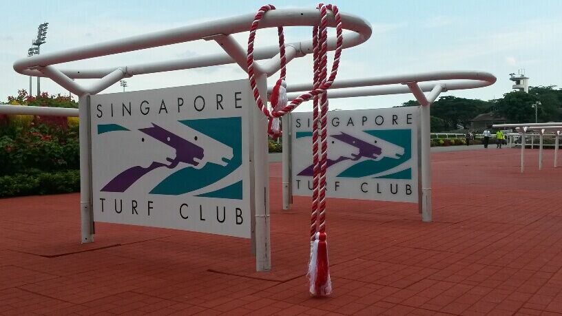 Te Akau Singapore Saturday Preview