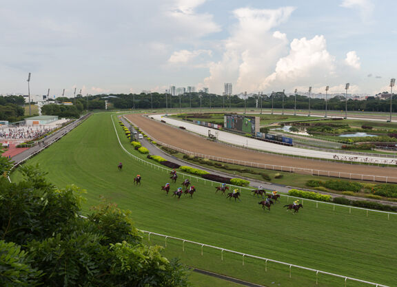 Te Akau Singapore Saturday Preview