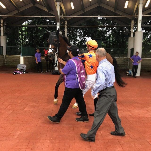Te Akau Singapore Sunday Preview