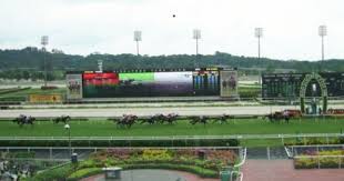 Te Akau Singapore Trackwork Update