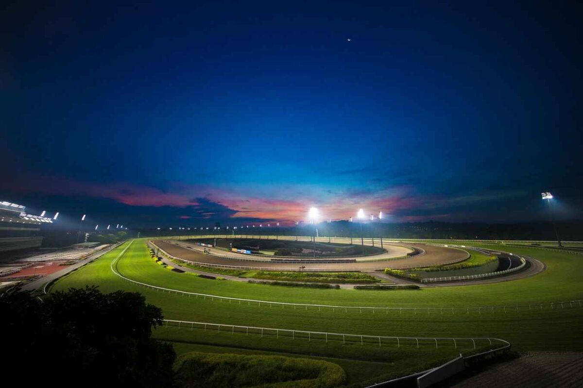Te Akau Singapore Sunday Preview