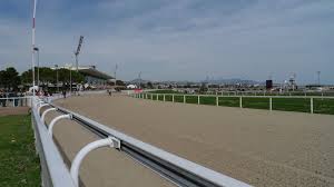 Te Akau Singapore Trackwork