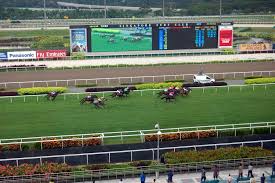 Te Akau Singapore Weekend Preview