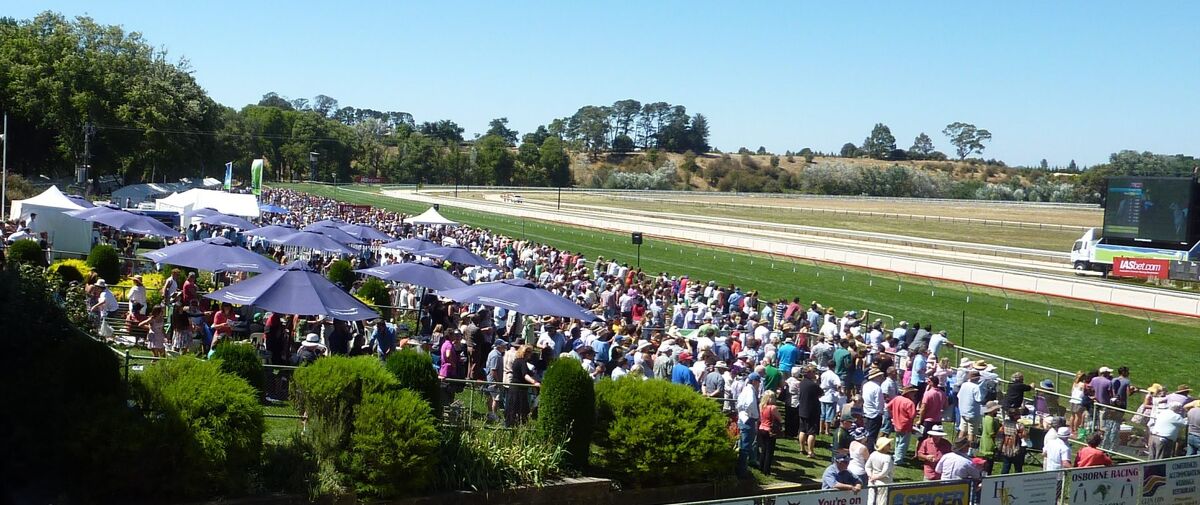 Te Akau Kyneton Thursday Preview