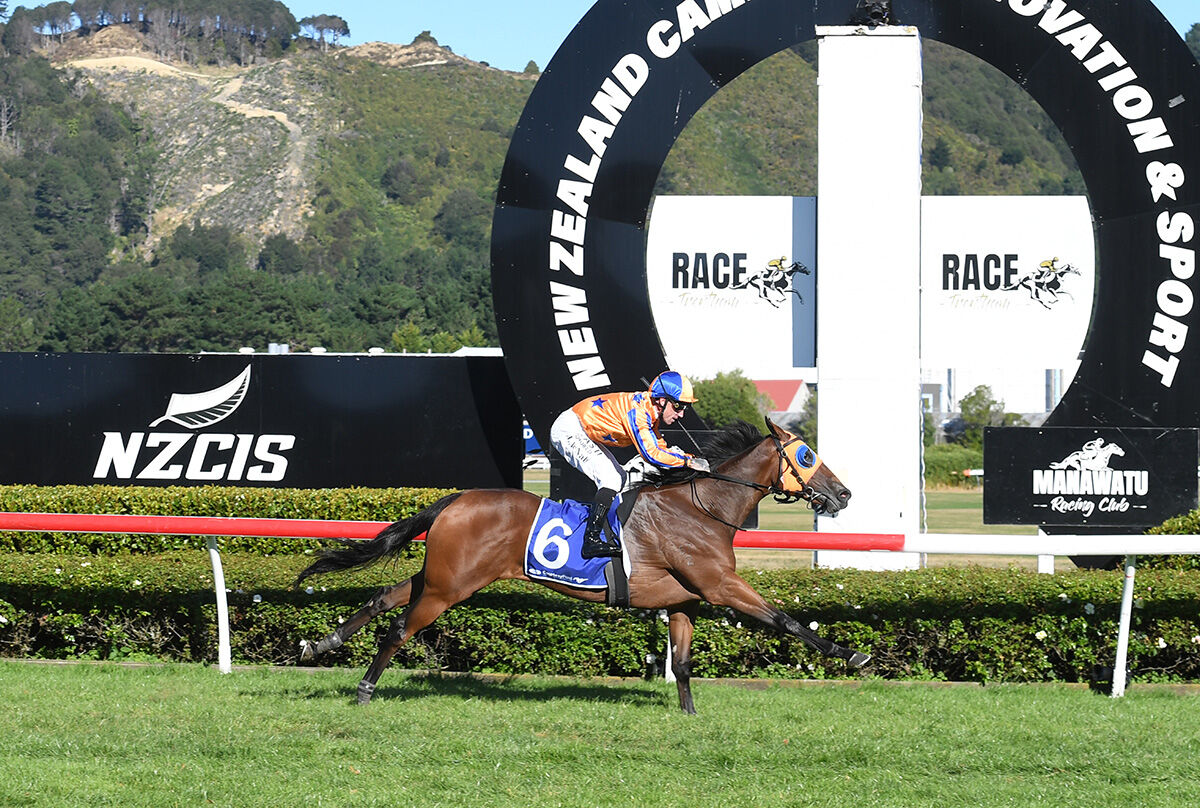 Te Akau Trans-Tasman Friday Preview