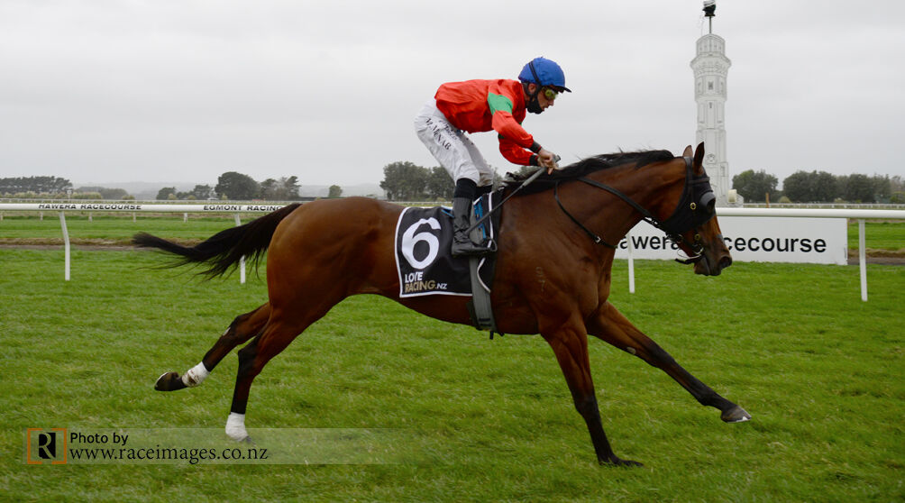 Beautiful Win La Flora Belle