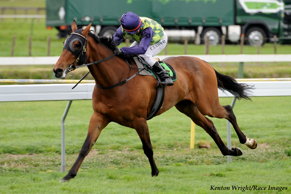 Salute the Lady - by 15 Lengths!