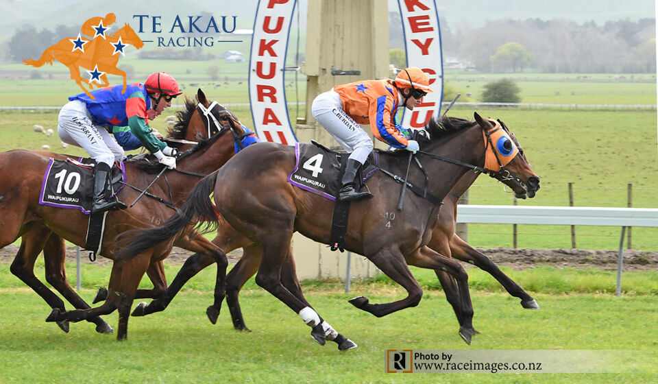 Te Akau Waipukurau Preview