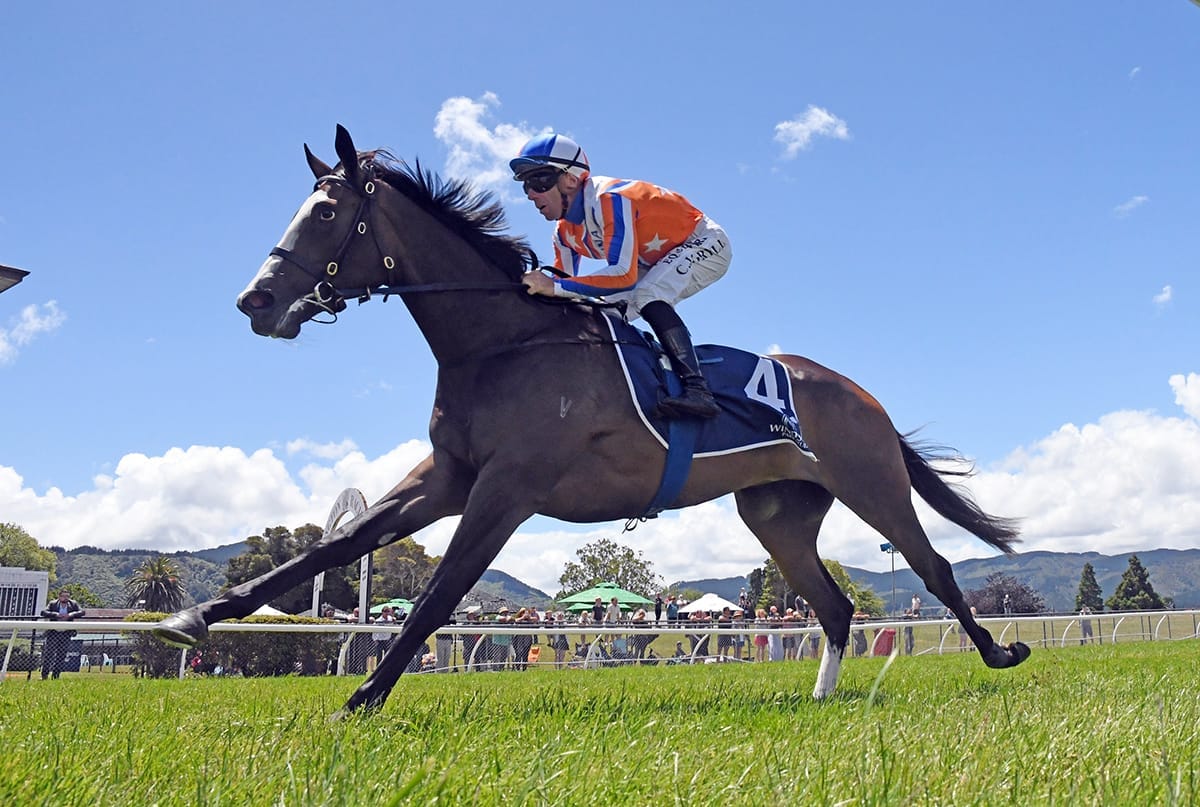 Unbeaten Youngster Stakes Claim