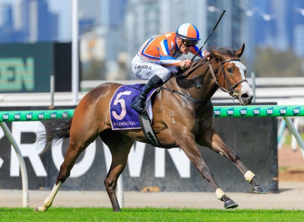 WINNER: Trans Tasman Stakes' Wins - Lara The Star