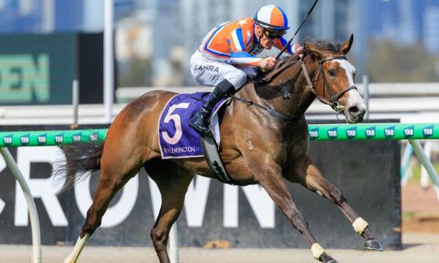WINNER: Trans Tasman Stakes' Wins - Lara The Star