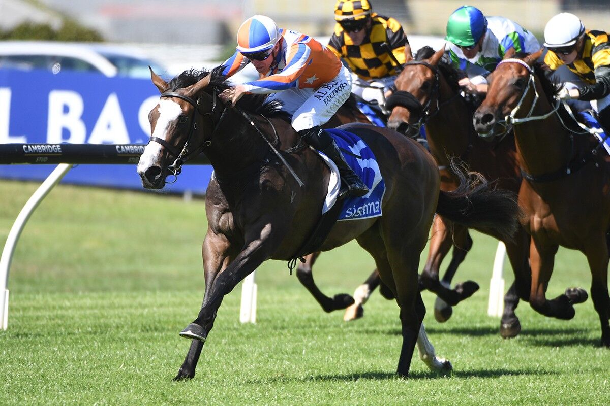 Champions' Day Double - Lara's G1 Glory
