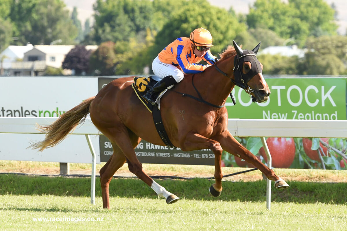 Latin Rose Makes It Three