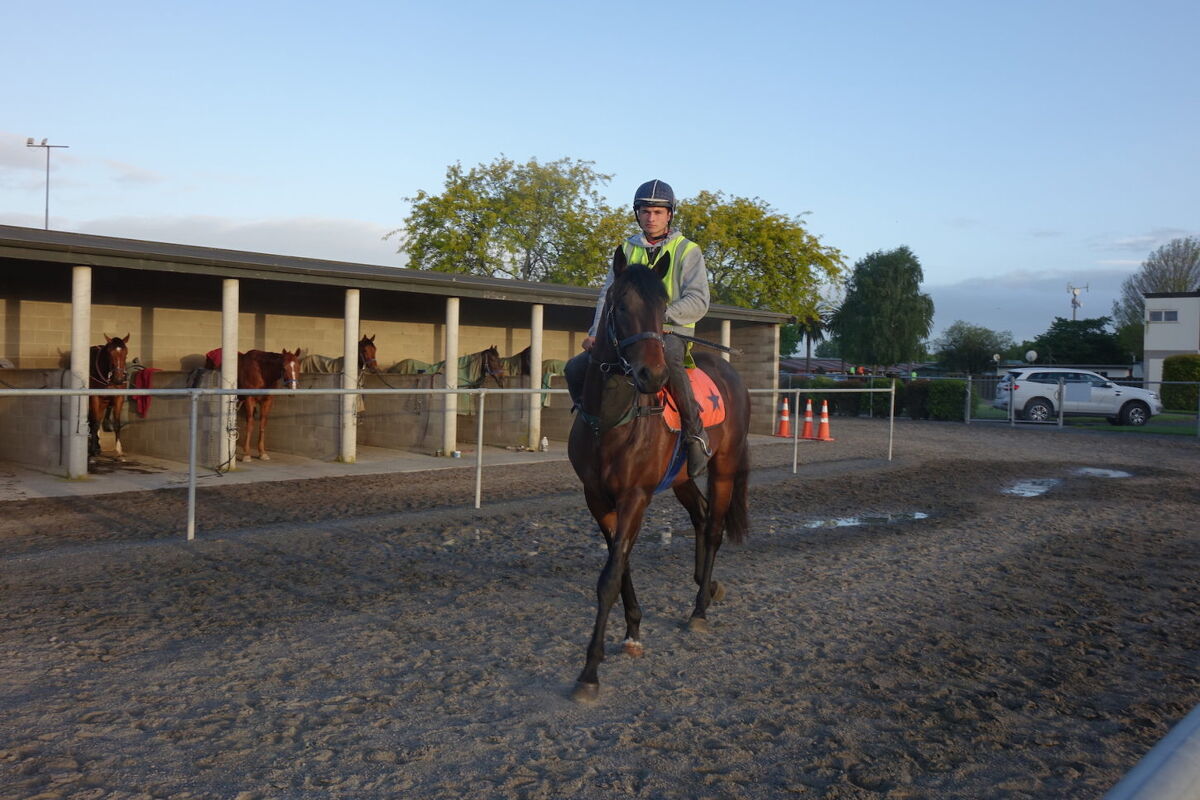 Te Akau Tuesday Trackwork