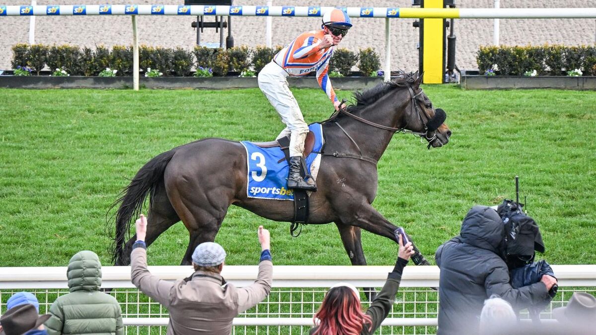 Te Akau Dominates Grand National Steeplechase
