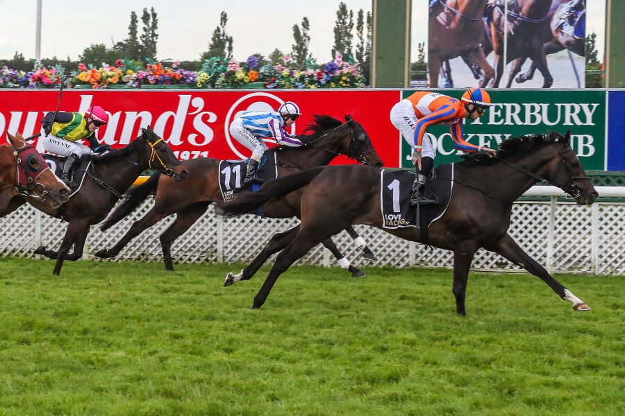 Te Akau Tauherenikau Sunday Preview