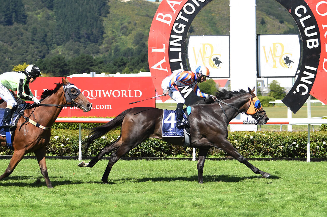 Leaderboard a Listed Wellington Winner