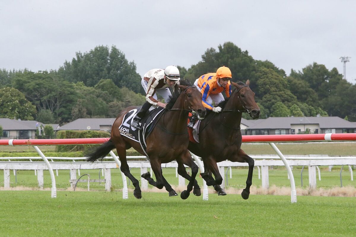 Te Rapa Exhibition - Belle En Rouge & Legarto