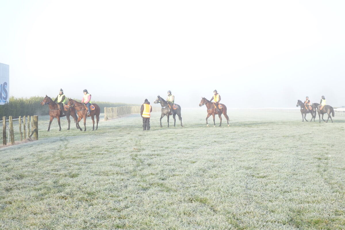 Te Akau Tuesday Trackwork
