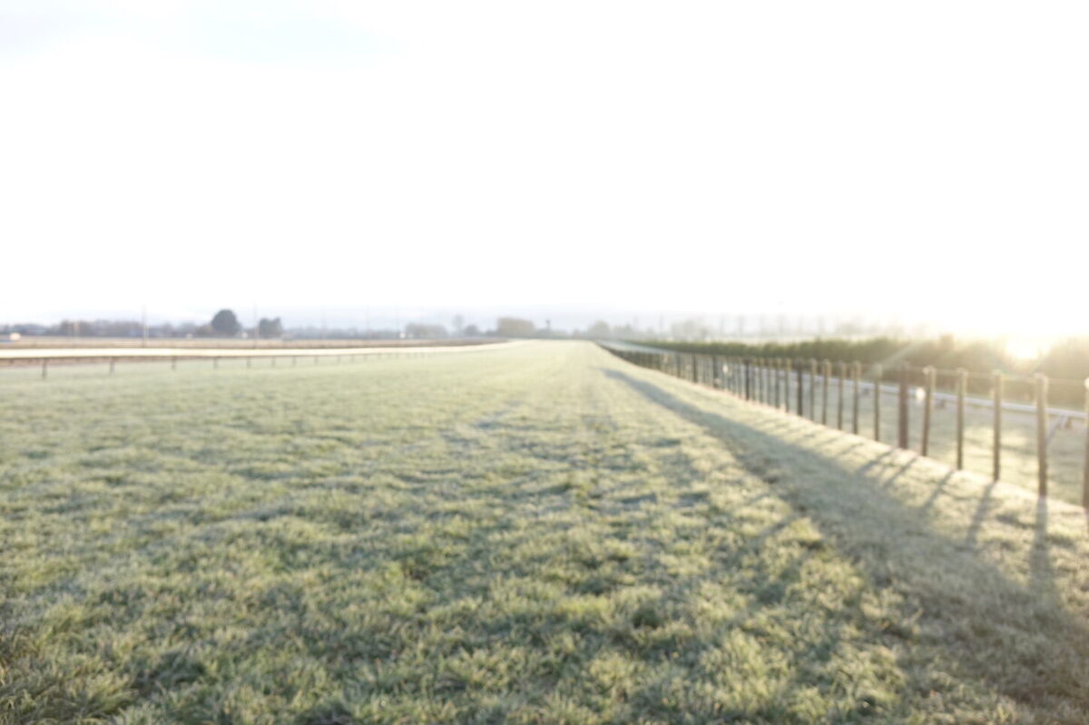 Te Akau Thursday Trackwork