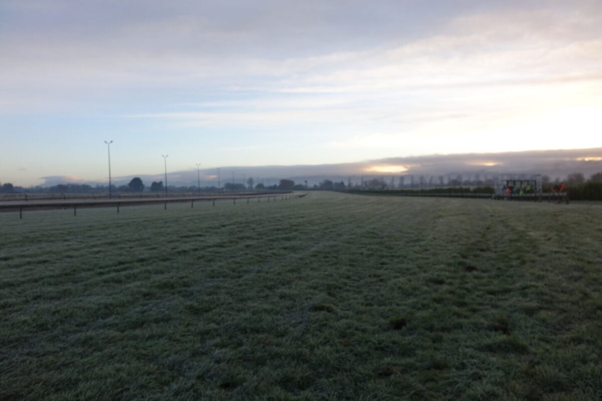 Te Akau Tuesday Trackwork