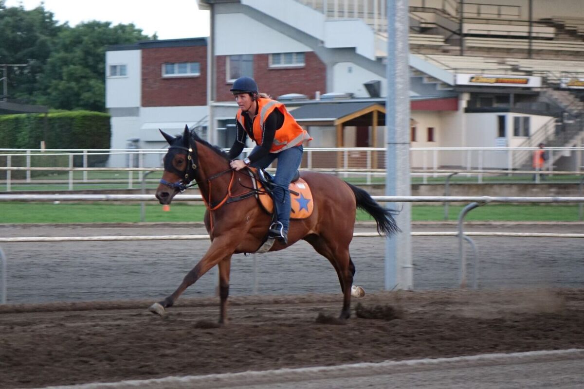 Te Akau Weekend Trackwork