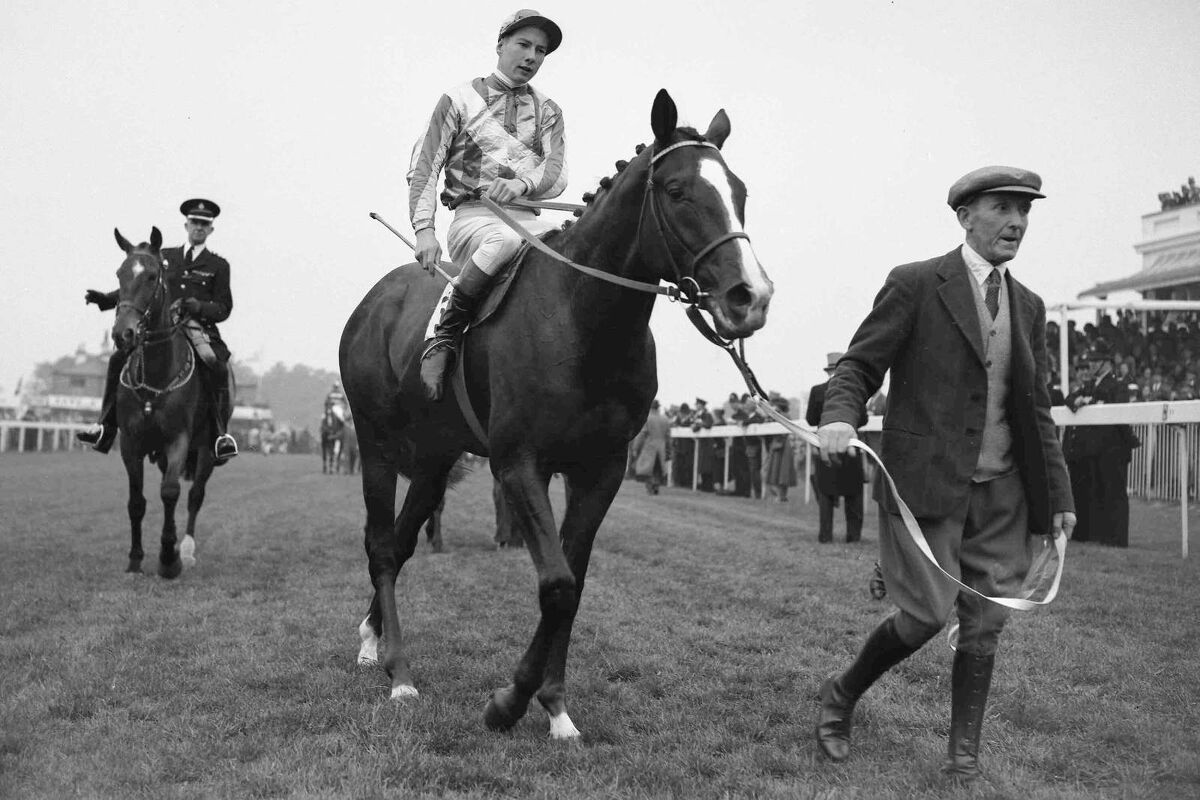 Splendid on Four Legs, Enigmatic on Two