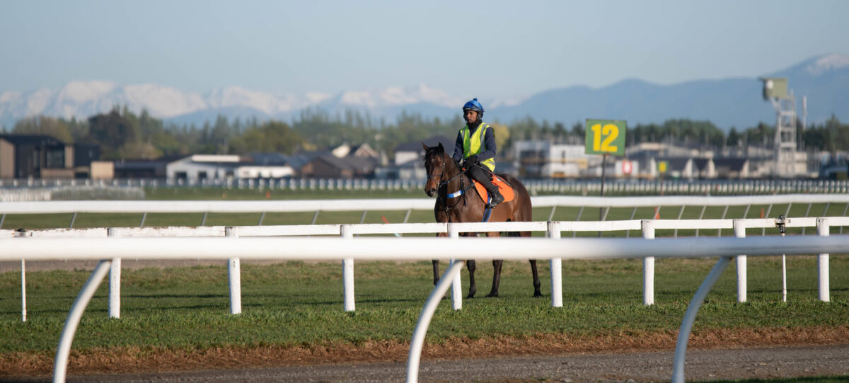 Te Akau Thursday Trackwork