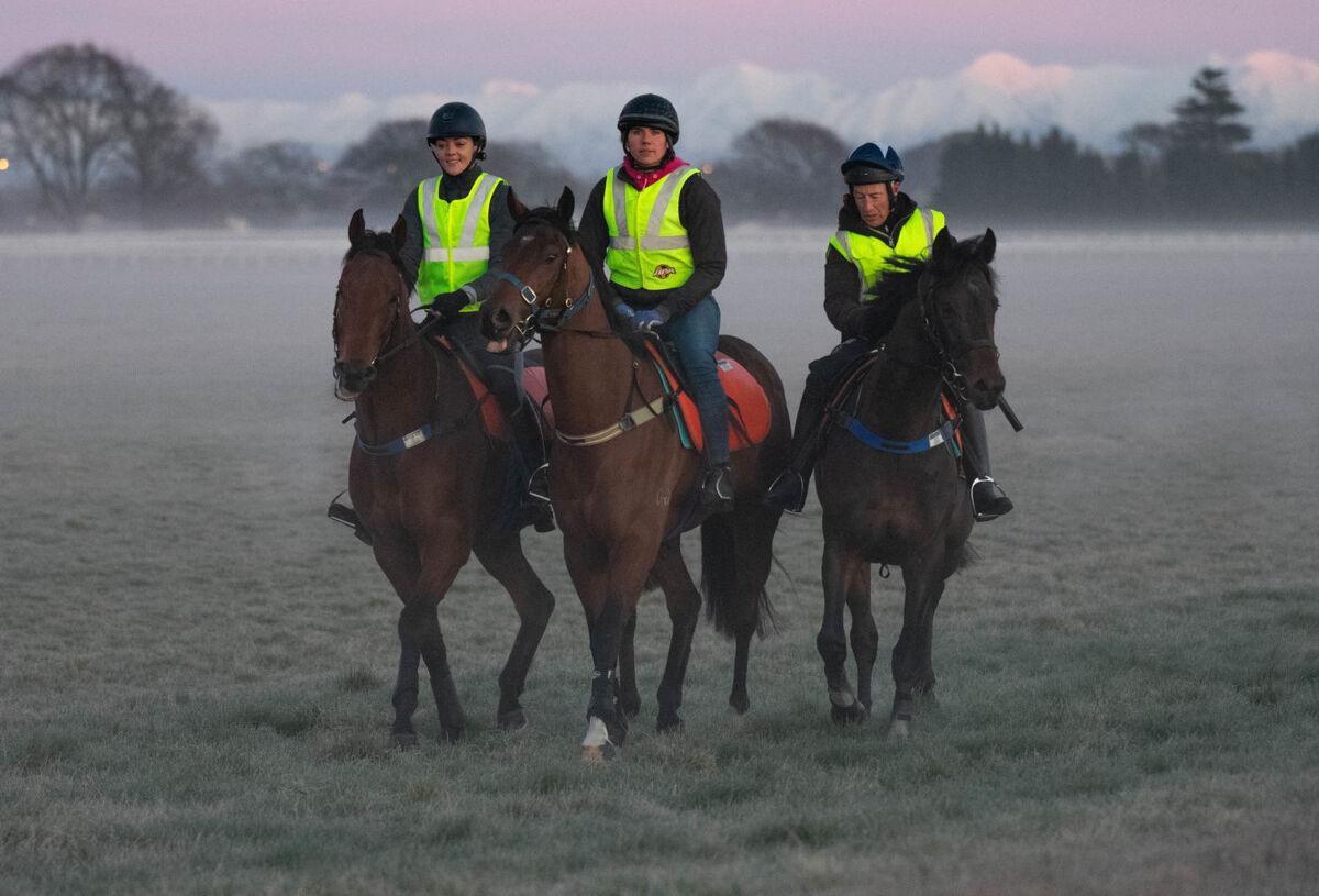Te Akau Tuesday Trackwork