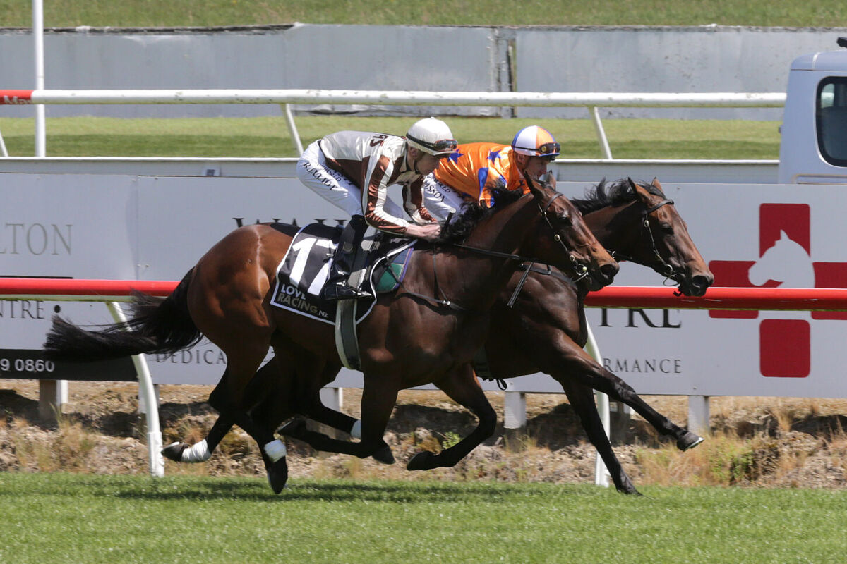 Te Akau Oaks' Winner on Exhibition