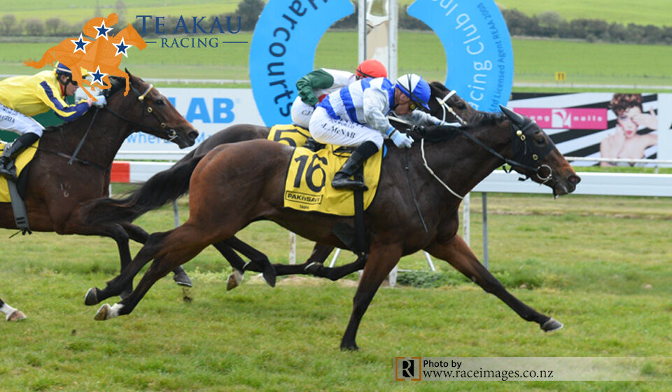 Four Taupo Wins - Lilikoi Win 2
