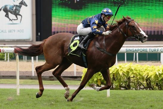 Te Akau Singapore Double