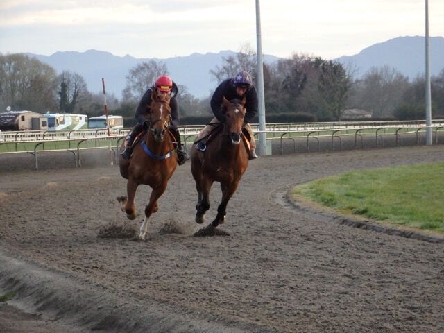 Te Akau Weekend Trackwork